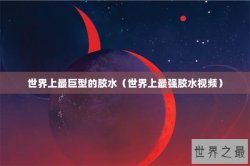 世界上最巨型的胶水（世界上最强胶水视频）