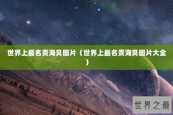 世界上最名贵海贝图片（世界上最名贵海贝图片大全）