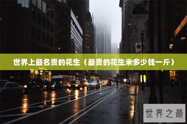 世界上最名贵的花生（最贵的花生米多少钱一斤）