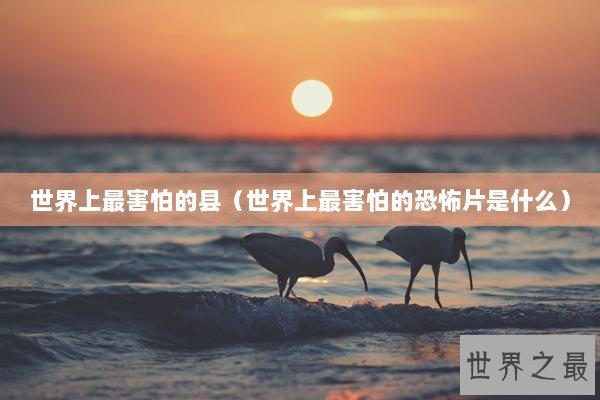 世界上最害怕的县（世界上最害怕的恐怖片是什么）