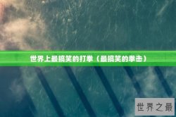 世界上最搞笑的打拳（最搞笑的拳击）