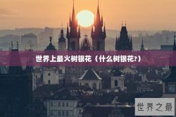 世界上最火树银花（什么树银花?）