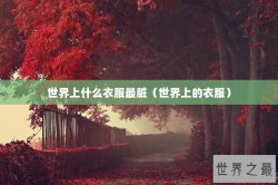 世界上什么衣服最脏（世界上的衣服）