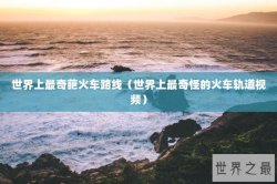 世界上最奇葩火车路线（世界上最奇怪的火车轨道视频）