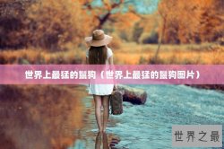 世界上最猛的鬣狗（世界上最猛的鬣狗图片）