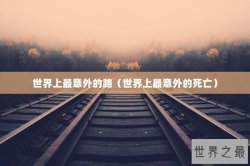 世界上最意外的路（世界上最意外的死亡）