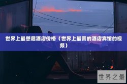 世界上最憋屈酒店价格（世界上最贵的酒店宾馆的视频）