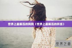 世界上最解压的狗狗（世界上最解压的折纸）