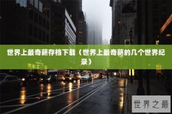 世界上最奇葩存档下载（世界上最奇葩的几个世界纪录）