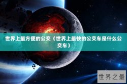 世界上最方便的公交（世界上最快的公交车是什么公交车）