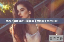 世界上最顶级过山车赛道（世界前十的过山车）