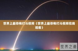 世界上最恐怖打斗视频（世界上最恐怖打斗视频在线观看）