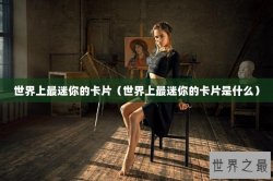 世界上最迷你的卡片（世界上最迷你的卡片是什么）