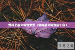 世界上最火电音女生（全网最火电音前十名）