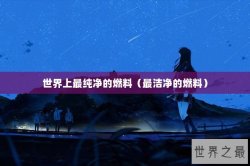 世界上最纯净的燃料（最洁净的燃料）