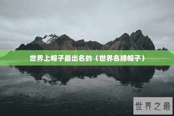世界上帽子最出名的（世界名牌帽子）