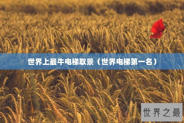 世界上最牛电梯取景（世界电梯第一名）