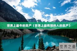 世界上最牛的资产（世界上最有钱的人的资产）