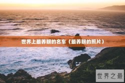 世界上最养眼的名车（最养眼的照片）