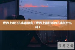 世界上哪只孔雀最漂亮（世界上最好看的孔雀长什么样）