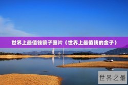 世界上最值钱镜子图片（世界上最值钱的金子）