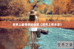 世界上最奇葩的水泥（世界上有水泥）