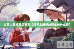 世界上最纯粹的赛车（世界上最好的赛车长什么样）
