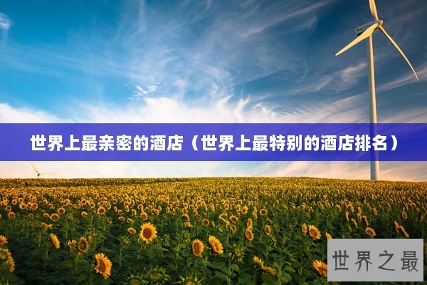 世界上最亲密的酒店(世界上最特别的酒店排名) 世界上最亲密的酒店(世界上最特别的酒店排名)