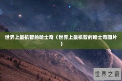 世界上最机智的哈士奇（世界上最机智的哈士奇图片）