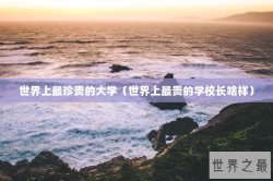 世界上最珍贵的大学（世界上最贵的学校长啥样）