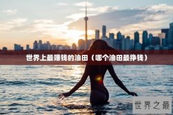 世界上最赚钱的油田（哪个油田最挣钱）