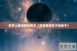世界上最清新的饺子（世界各地饺子的样子）