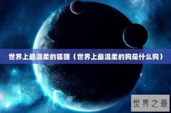 世界上最温柔的狐狸（世界上最温柔的狗是什么狗）