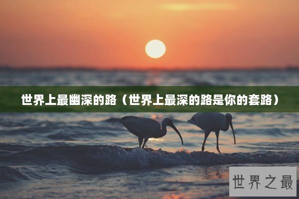 世界上最幽深的路（世界上最深的路是你的套路）