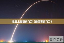 世界上最狠的飞刀（最厉害的飞刀）