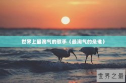 世界上最淘气的歌手（最淘气的是谁）