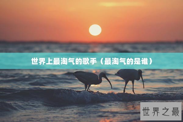 世界上最淘气的歌手（最淘气的是谁）