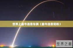 世界上最牛违章车辆（最牛违章司机）