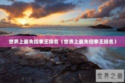 世界上最失控拳王排名（世界上最失控拳王排名）