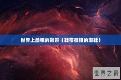 世界上最粗的鞋带（鞋带很粗的潮鞋）