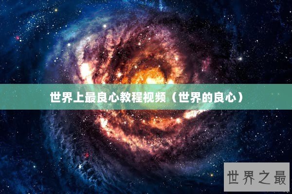 世界上最良心教程视频（世界的良心）