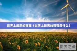 世界上最黑的猩猩（世界上最黑的猩猩是什么）