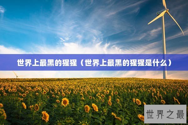 世界上最黑的猩猩（世界上最黑的猩猩是什么）