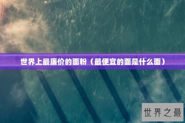 世界上最廉价的面粉（最便宜的面是什么面）