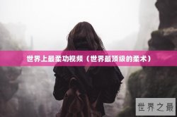 世界上最柔功视频（世界最顶级的柔术）