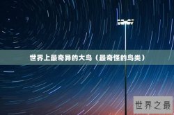 世界上最奇异的大鸟（最奇怪的鸟类）