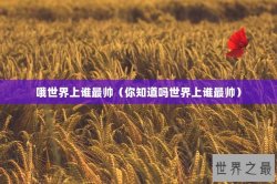 哦世界上谁最帅（你知道吗世界上谁最帅）