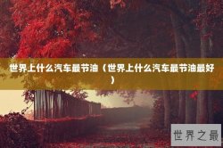 世界上什么汽车最节油（世界上什么汽车最节油最好）