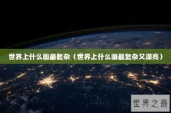 世界上什么画最复杂（世界上什么画最复杂又漂亮）