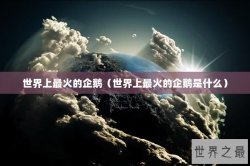 世界上最火的企鹅（世界上最火的企鹅是什么）